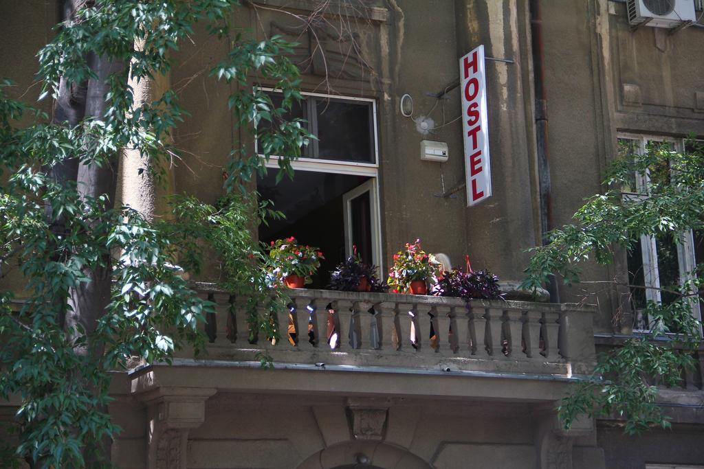 Hostel Sova Novi Sad Eksteriør billede